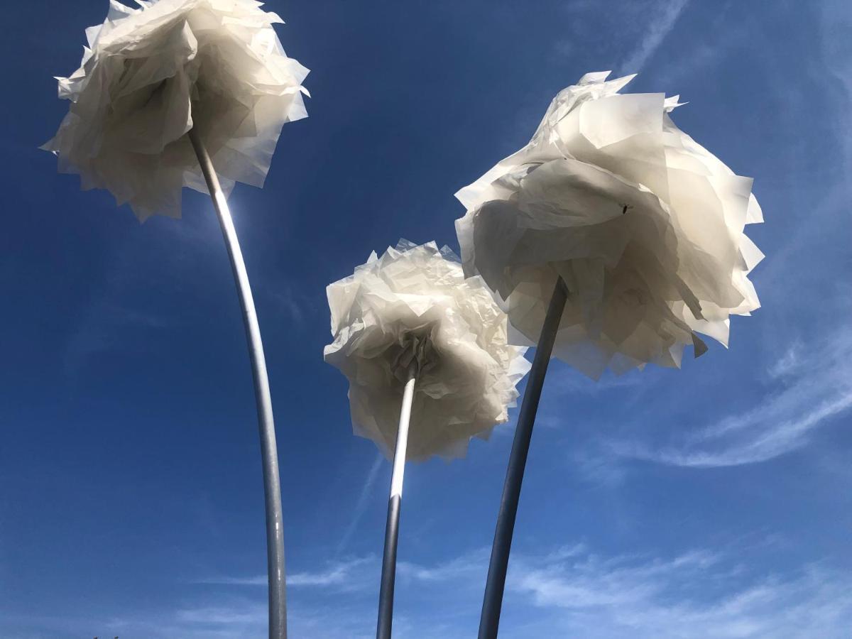 Le Jardin D Eden Leilighet Béziers Eksteriør bilde